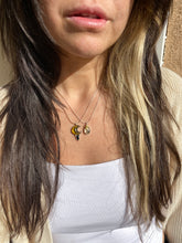 Load image into Gallery viewer, Amber Moon and Onyx Necklace